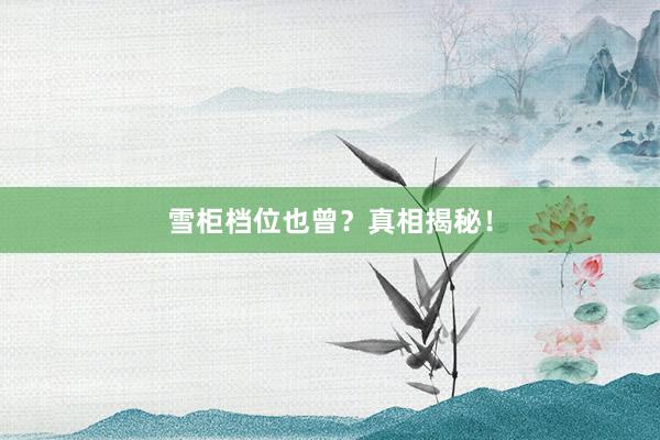 雪柜档位也曾？真相揭秘！